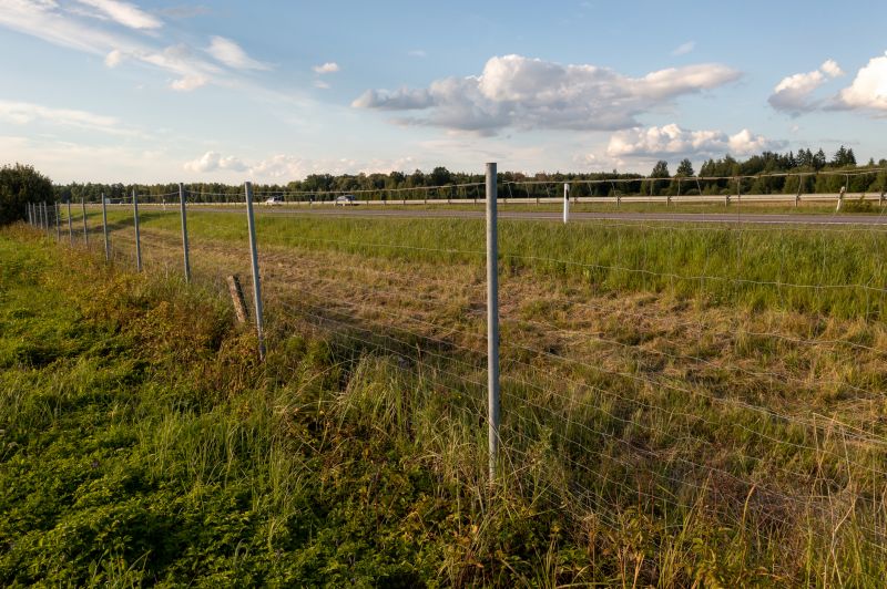 Property Line Clearing in Marietta, GA