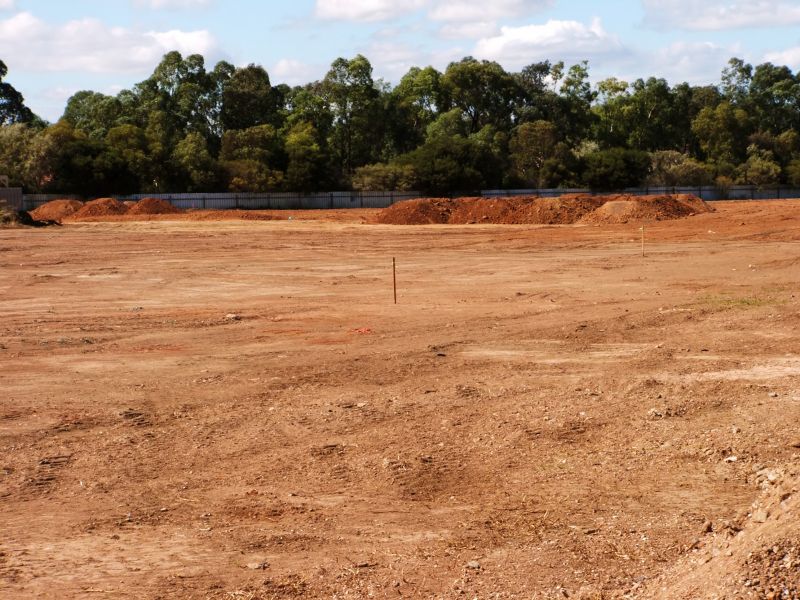 Completed Land Leveling Project