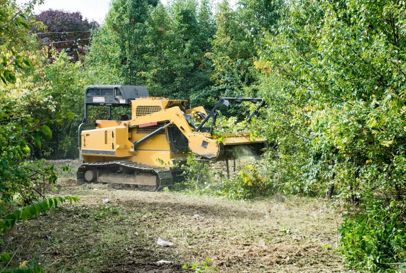 Property Line Clearing in Katy, TX